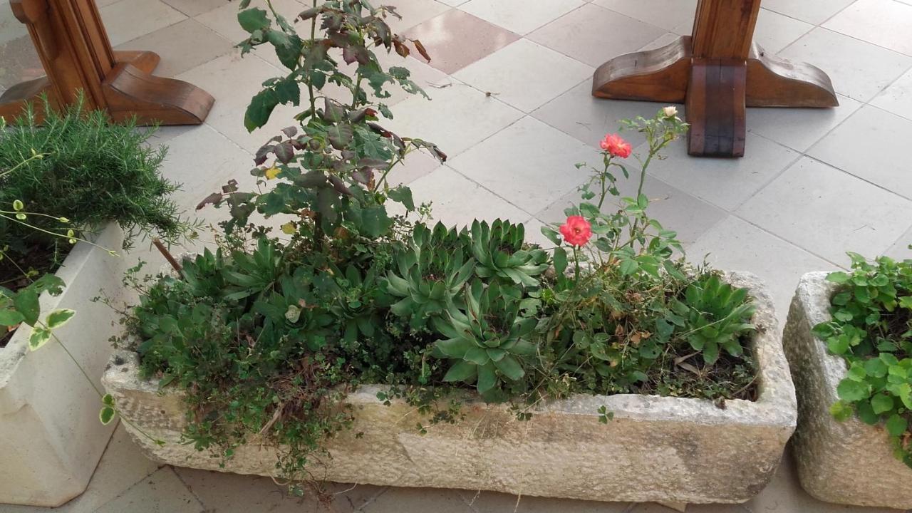 Villa Mateja Donji Okrug  Buitenkant foto