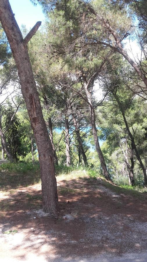 Villa Mateja Donji Okrug  Buitenkant foto