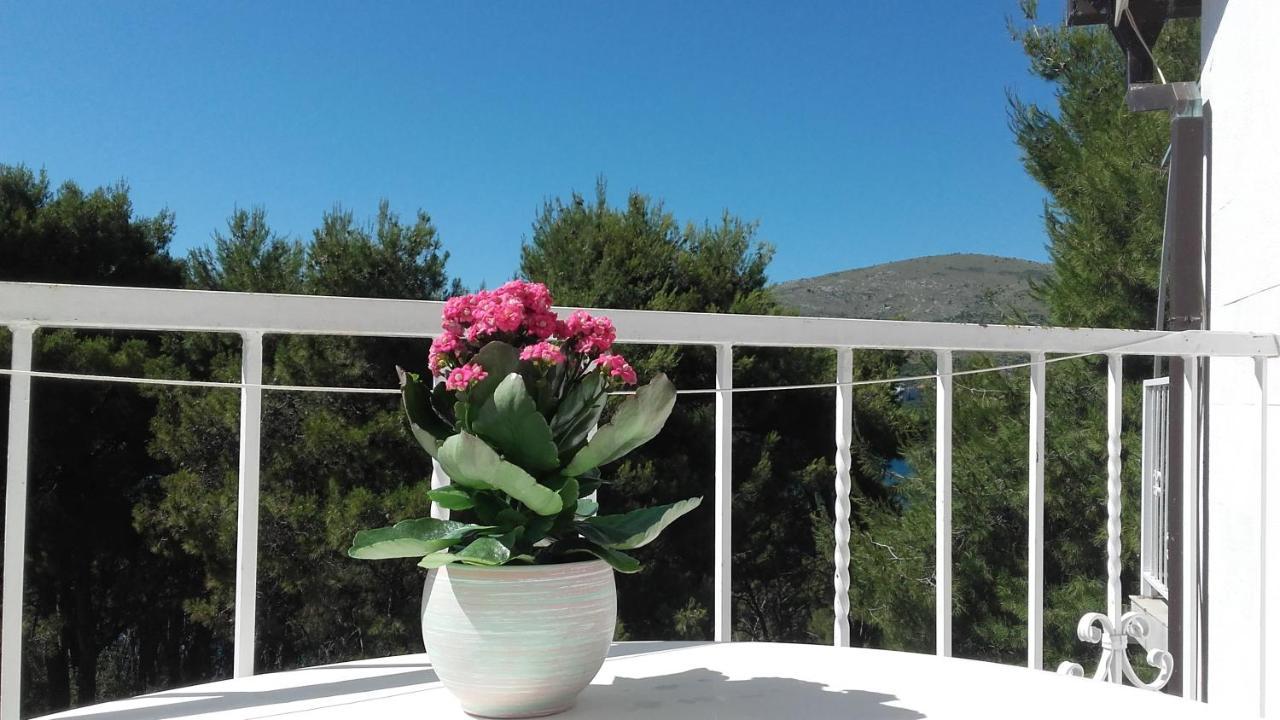 Villa Mateja Donji Okrug  Buitenkant foto