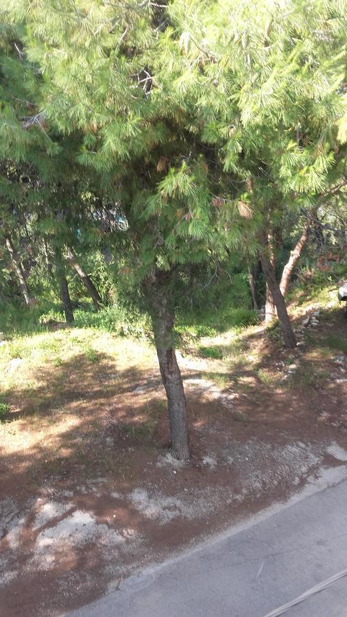 Villa Mateja Donji Okrug  Buitenkant foto